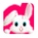 小飞兔整站下载工具 v8.0免费版