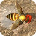 蜜蜂生存模拟器
