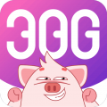 笨猪386安卓版