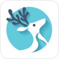 小鹿导游app手机版